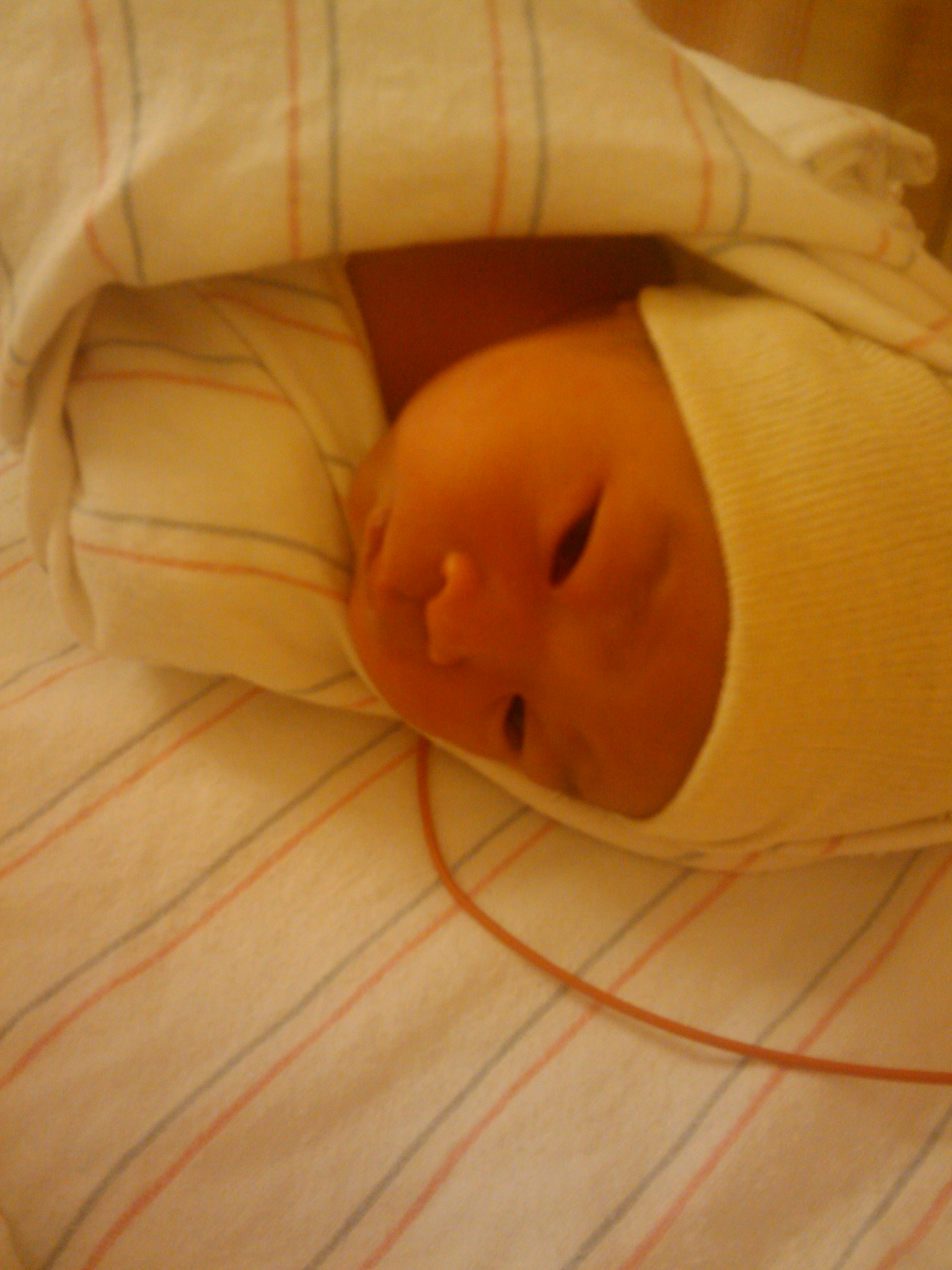 2010-05-12 01.42.46.jpg